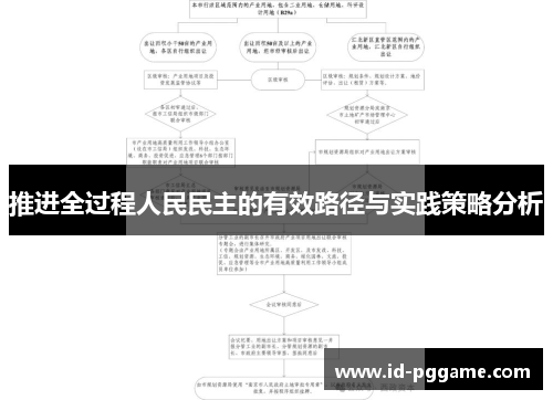 推进全过程人民民主的有效路径与实践策略分析