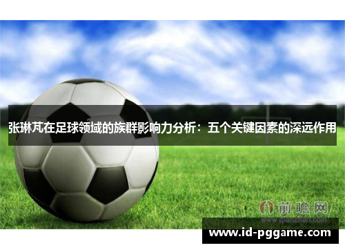 张琳芃在足球领域的族群影响力分析：五个关键因素的深远作用