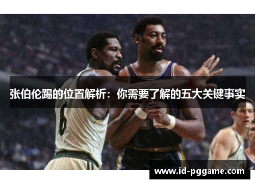 张伯伦踢的位置解析：你需要了解的五大关键事实