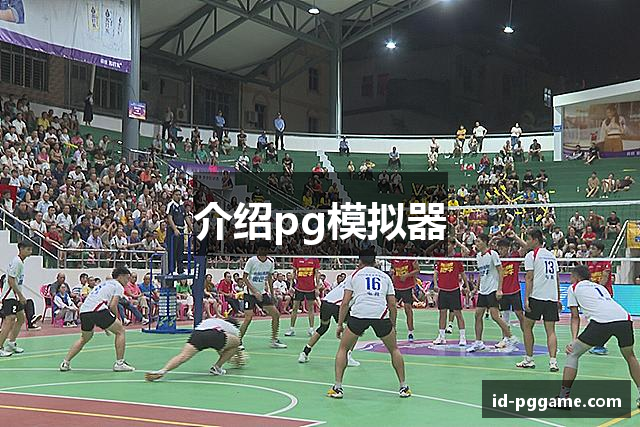 介绍pg模拟器